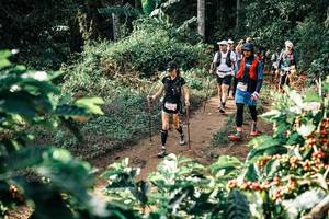 BIB: 
                            <button type="button" onclick="openModal(25852782)" class="btn btn-primary btn-sm float-right btn-popup" data-toggle="modal" data-target=".modal-high-quality">
                        <i class="fas fa-shopping-cart"></i> Add to Cart
                    </button>
                                            <button type="button" onclick="isThisMe(25852782, true)" class="btn btn-success btn-sm float-right btn-popup btn-isme hidden" data-toggle="tooltip" data-placement="bottom" title="นี่คือรูปของคุณใช่ไหม คลิกที่นี่เพื่อเอาเข้าอัลบั้ม">
                        <i class="fas fa-plus"></i> Add to album
                    </button>
                    <button type="button" onclick="isThisMe(25852782, false)" class="btn btn-warning btn-sm float-right btn-popup btn-isnotme hidden">
                        <i class="fas fa-ban"></i> Remove from album
                    </button>